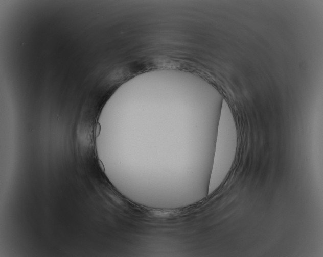 X0000088130713200705140957