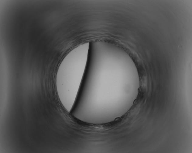X0000088130715200705140957