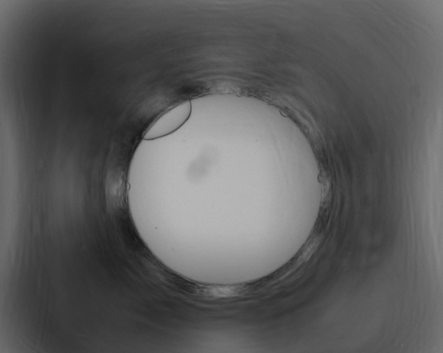 X0000088130717200705140957