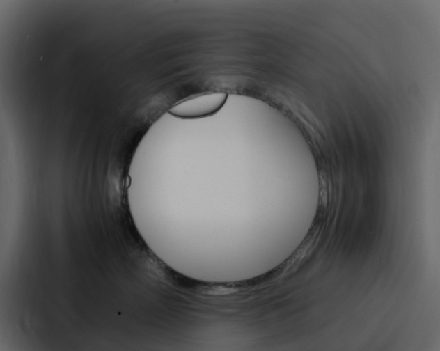 X0000088130718200705140957