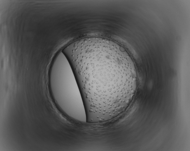 X0000088130721200705140956