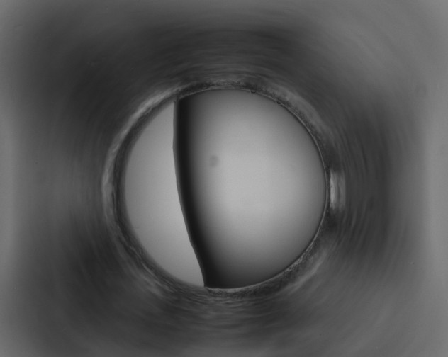 X0000088130723200705140957