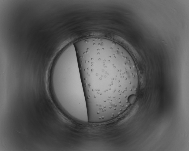X0000088130725200705140957
