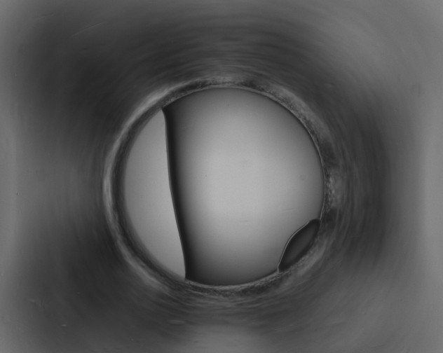 X0000088130726200705140957