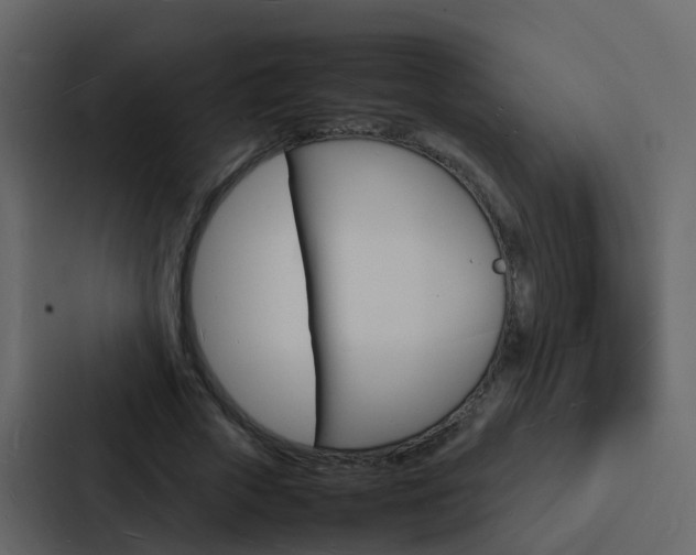 X0000088130729200705140957