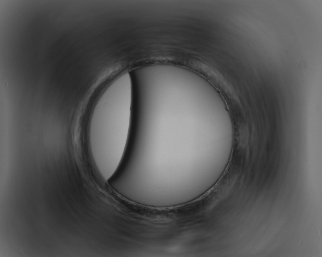 X0000088130731200705140957