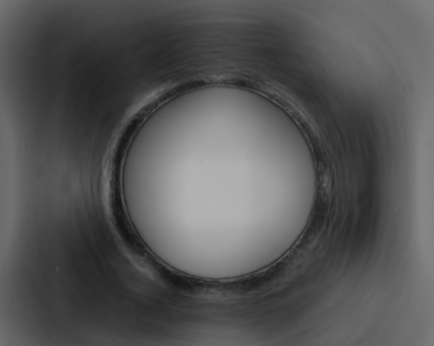 X0000088130732200705140957