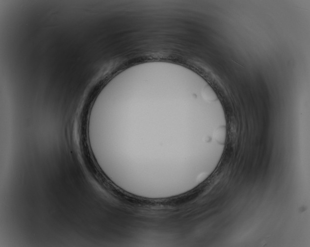 X0000088130734200705140957