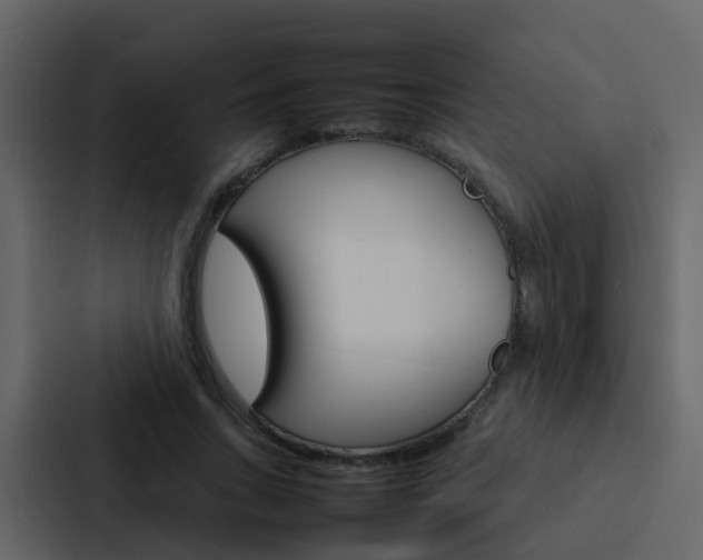 X0000088130735200705140957