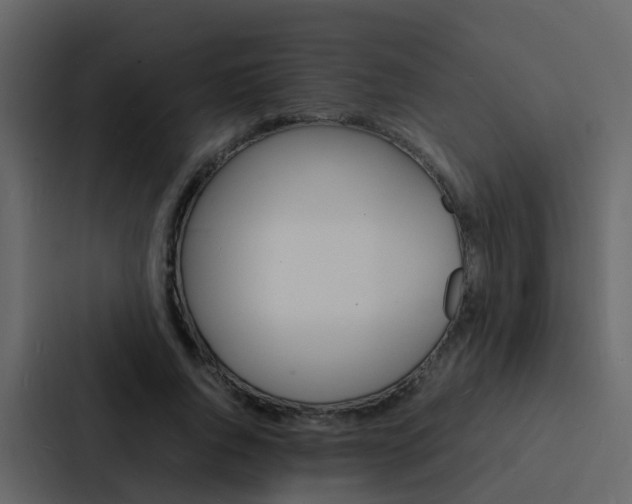 X0000088130736200705140957
