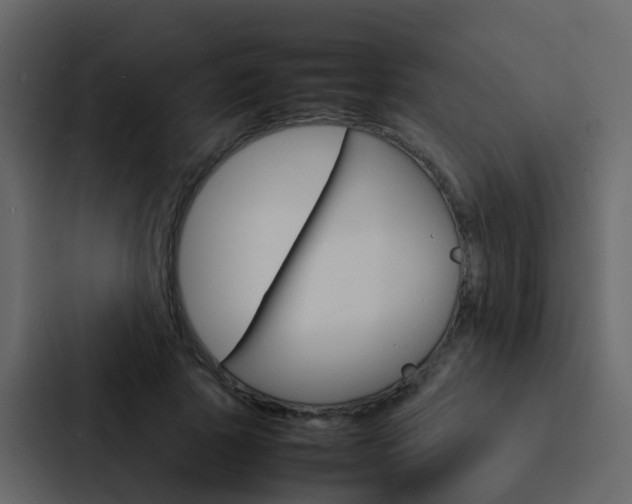 X0000088130737200705140957