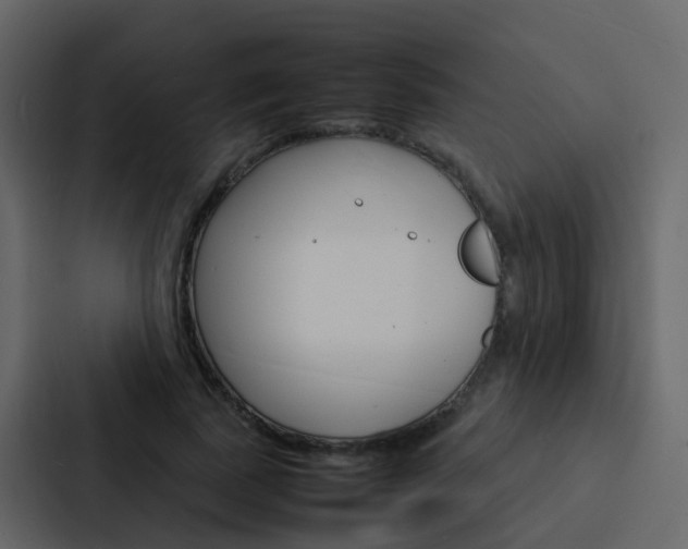 X0000088130739200705140957