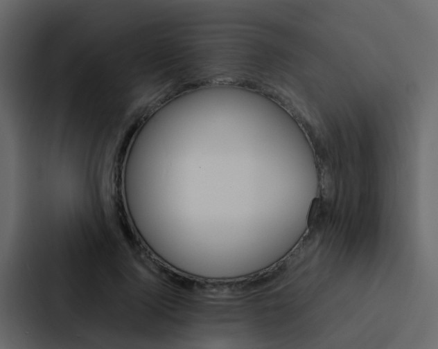 X0000088130740200705140957
