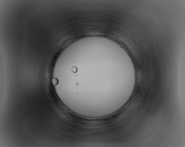 X0000088130741200705140957