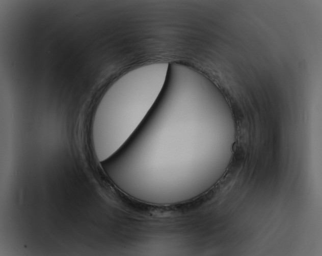 X0000088130742200705140957