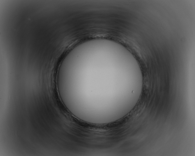 X0000088130743200705140957