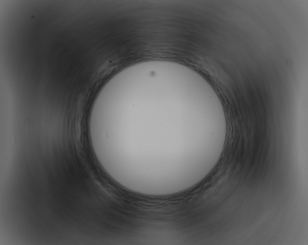X0000088130744200705140957