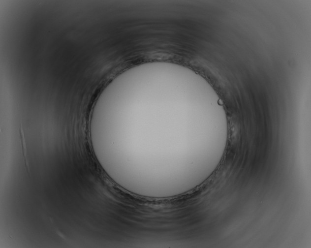 X0000088130745200705140957