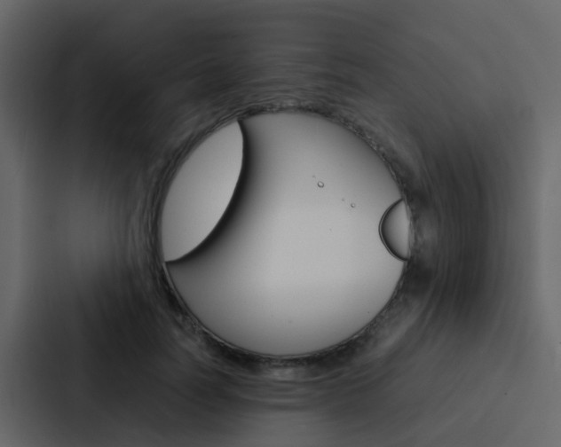 X0000088130746200705140957
