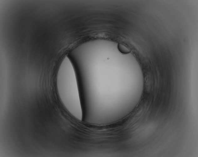 X0000088130747200705140957