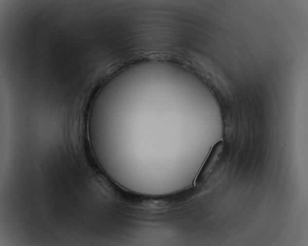 X0000088130748200705140957