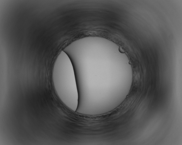 X0000088130749200705140957