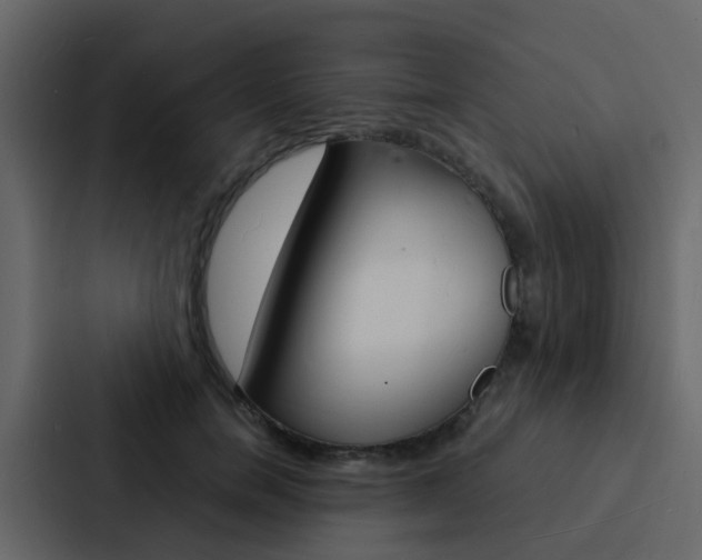 X0000088130750200705140957