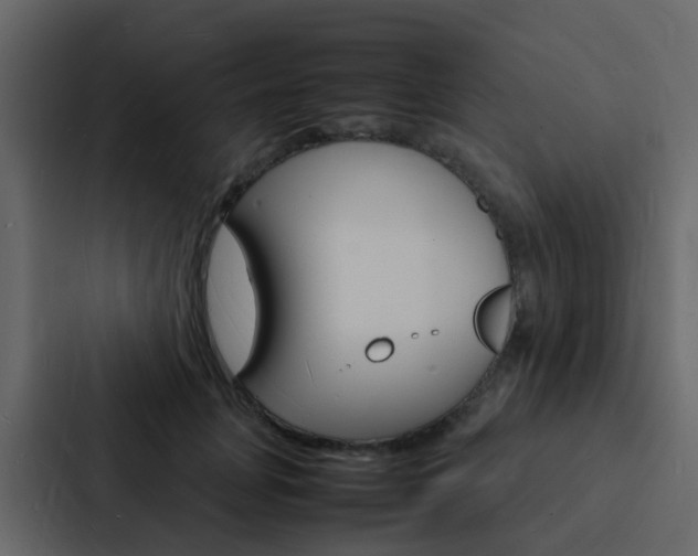 X0000088130751200705140957