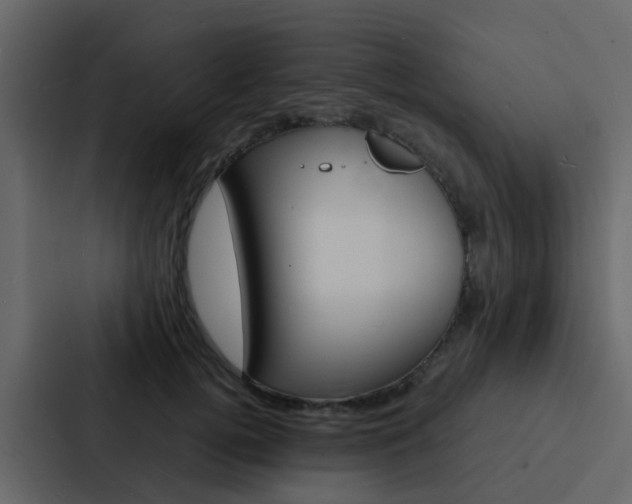 X0000088130752200705140957