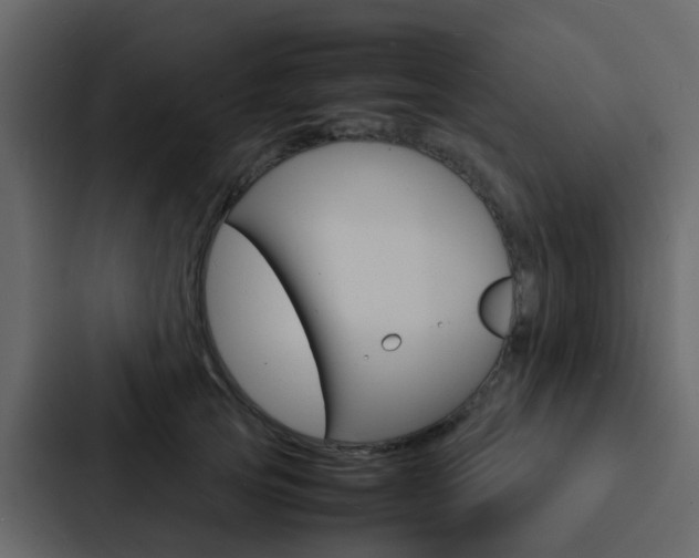 X0000088130753200705140957
