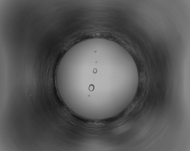 X0000088130754200705140957