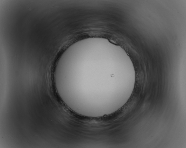X0000088130755200705140957
