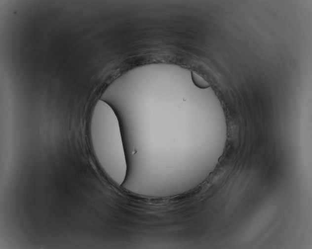 X0000088130757200705140957