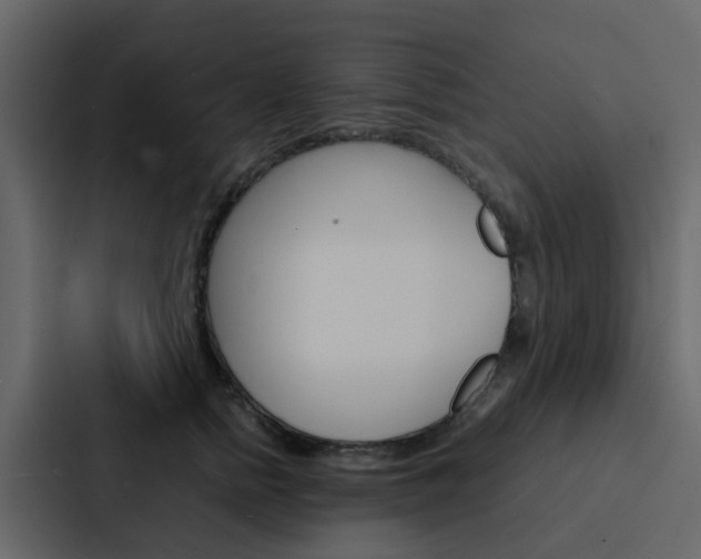 X0000088130758200705140957