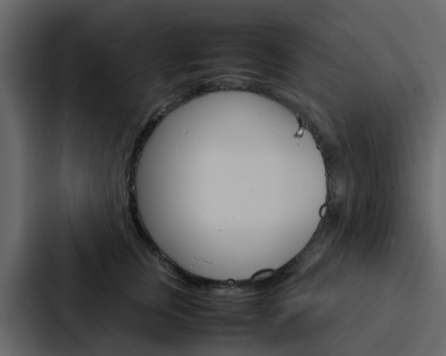 X0000088130759200705140957