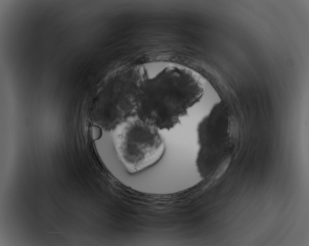 X0000088130761200705140957