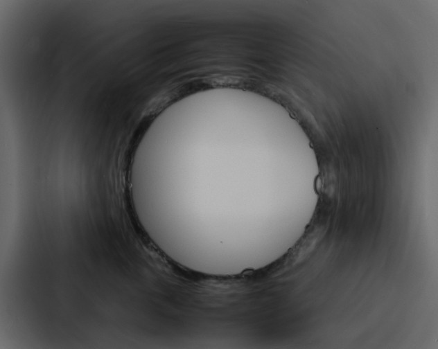 X0000088130763200705140957
