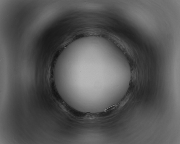 X0000088130764200705140957