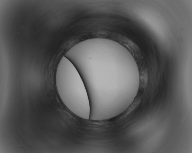 X0000088130765200705140957