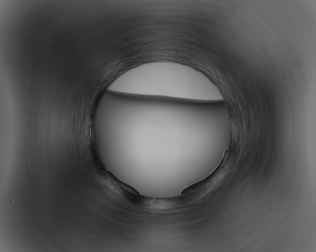 X0000088130766200705140957
