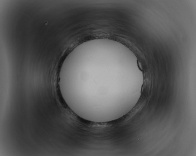 X0000088130767200705140957