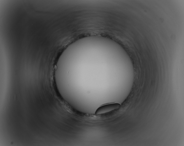 X0000088130768200705140957