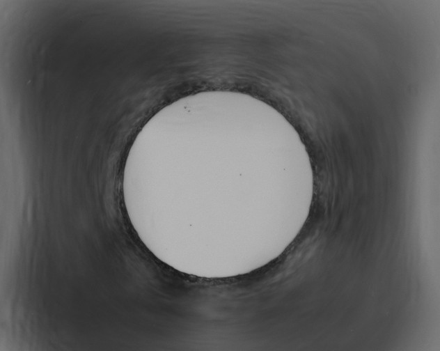 X0000088130769200705140956