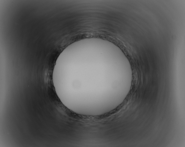 X0000088130770200705140956