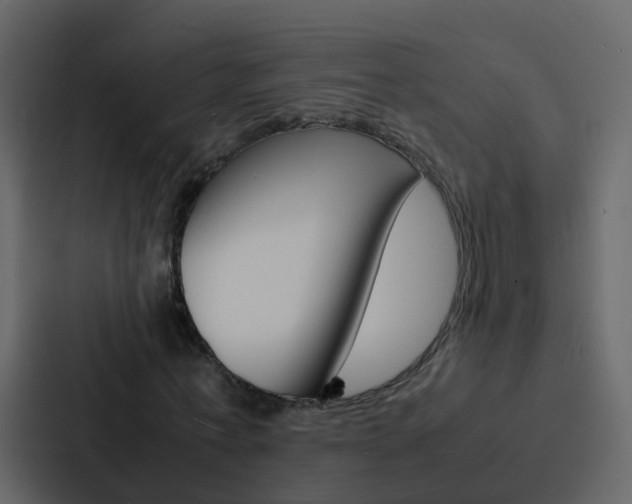 X0000088130771200705140956