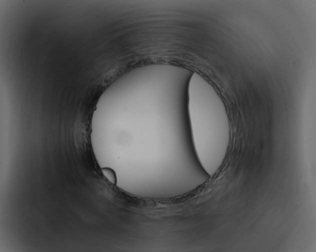X0000088130772200705140956