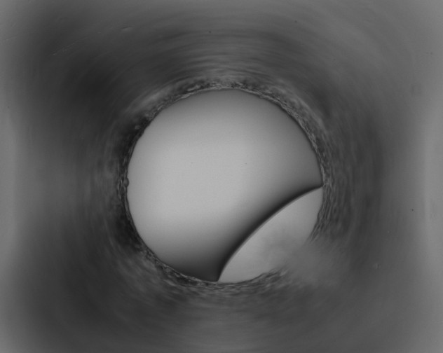 X0000088130773200705140956