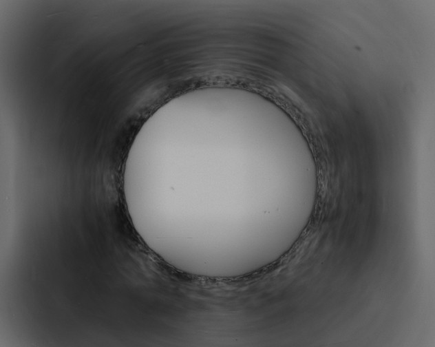 X0000088130774200705140956