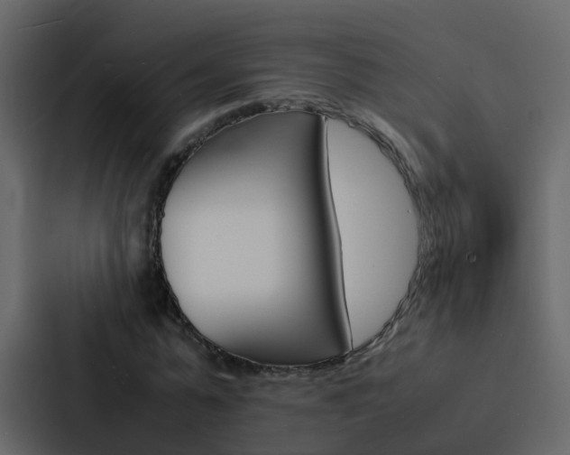 X0000088130775200705140956
