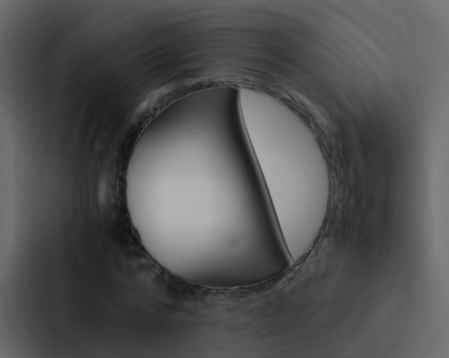 X0000088130776200705140956